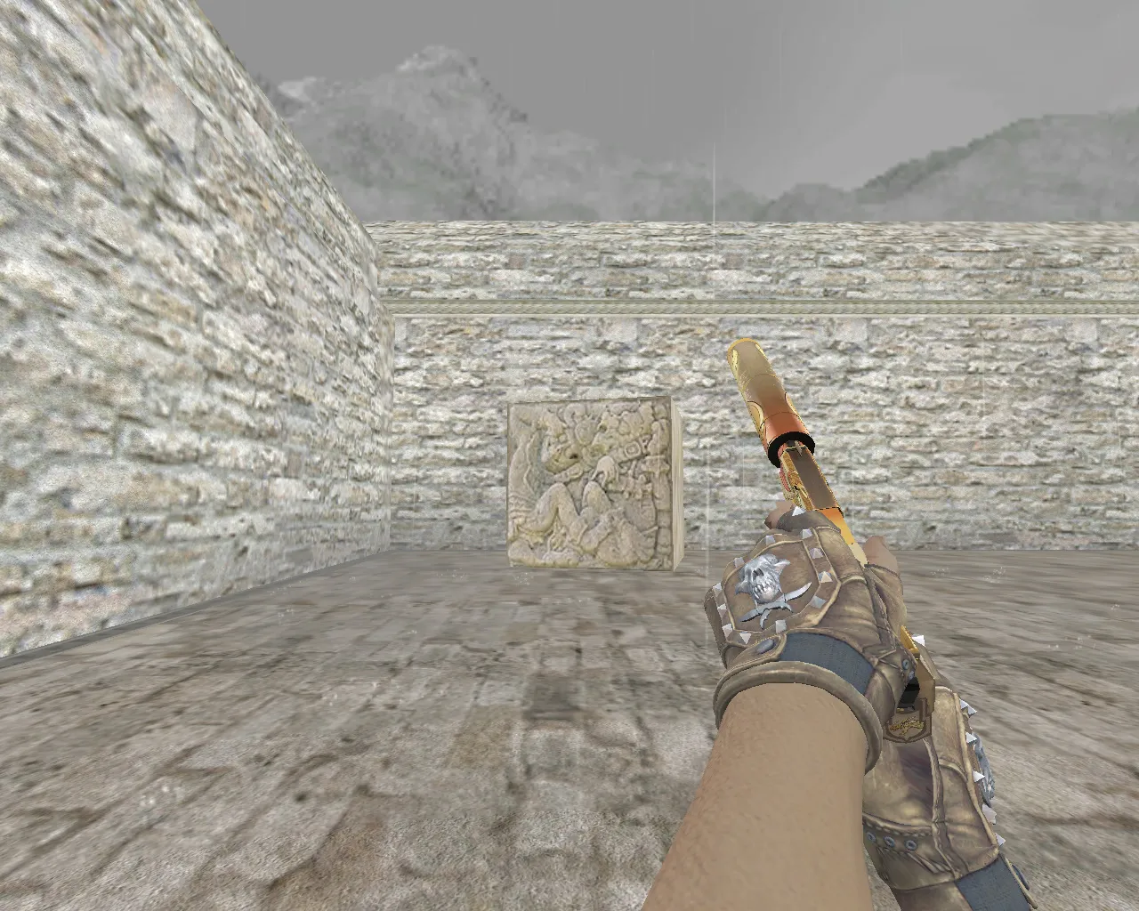 Скриншот USP «Драгон Лор» и перчатки «Бладхаунд | Бронза» для CS 1.6