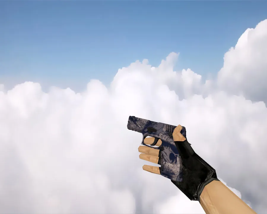 Скриншот P250 | Безводье (Drought) для CS 1.6 - Модель оружия