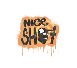 Скриншот Граффити «Отличный выстрел» для CS 1.6 - Заходите скачать!