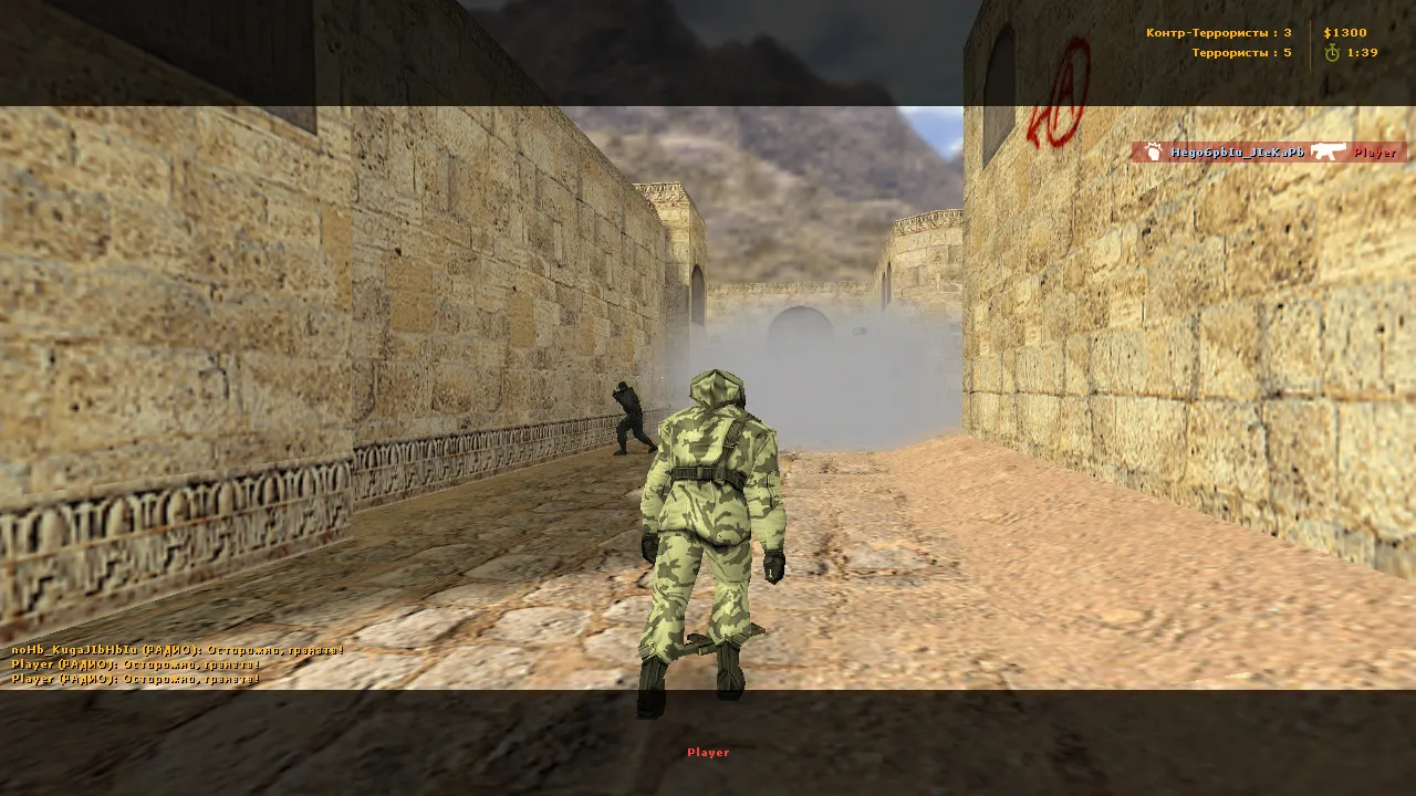 Скриншот CS 1.6 без анимации: быстрая смена оружия, чистый config.cfg, защита от MasterServer-подмены