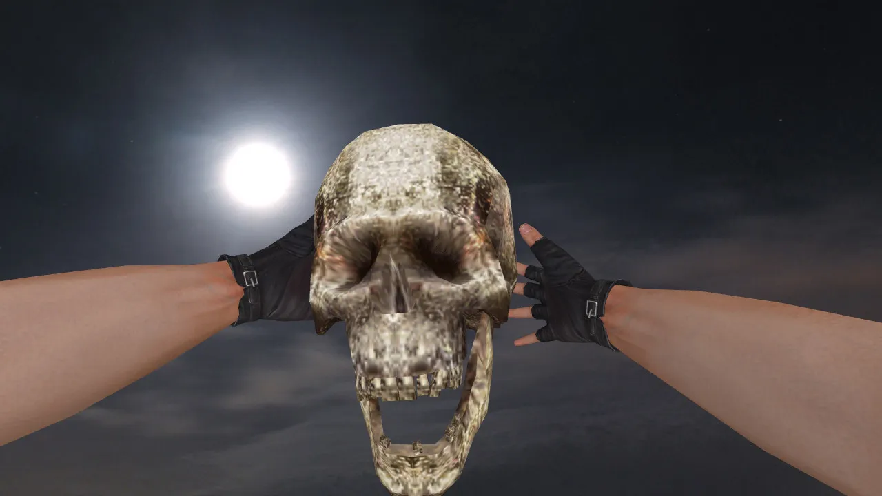 Скриншот Модель «Human Skull Grenade» для CS 1.6: v_, p_, w_ гранаты, звук и анимация осмотра
