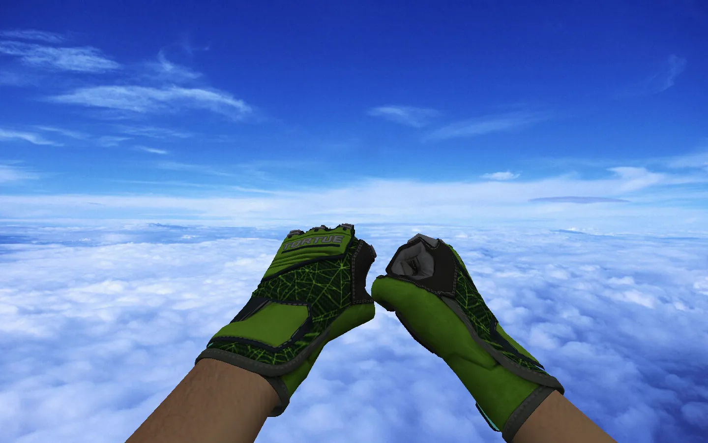 Скриншот Пак скинов с ★ Перчатками спецназа | Изумрудная сеть для CS 1.6: АК-47, AWP, Deagle, Glock, M4A4, USP-S, керамбит и анимации