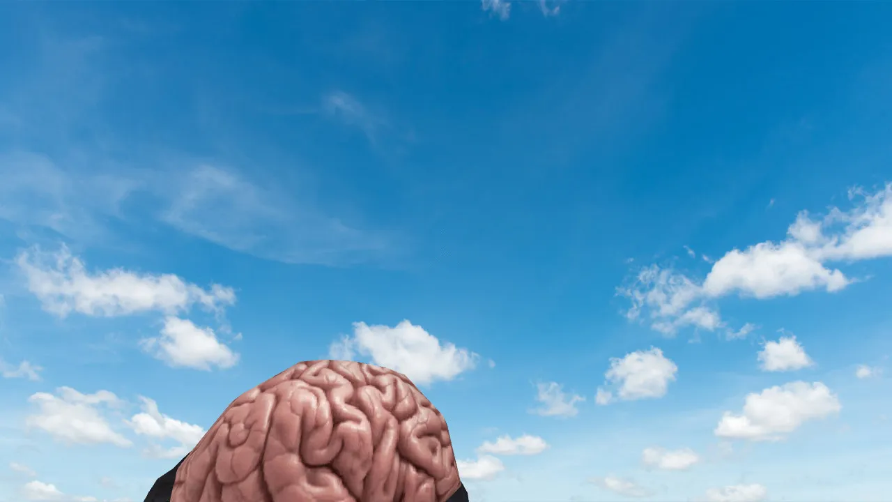 Скриншот Модель «Brain Grenade» для CS 1.6: v_, p_, w_ гранаты, звуки, анимация осмотра, качество текстур