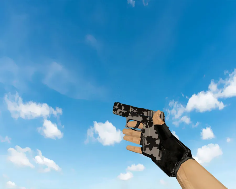 Скриншот  P250 | Чёрно-коричневый (Black & Tan) для CS 1.6: Подробности