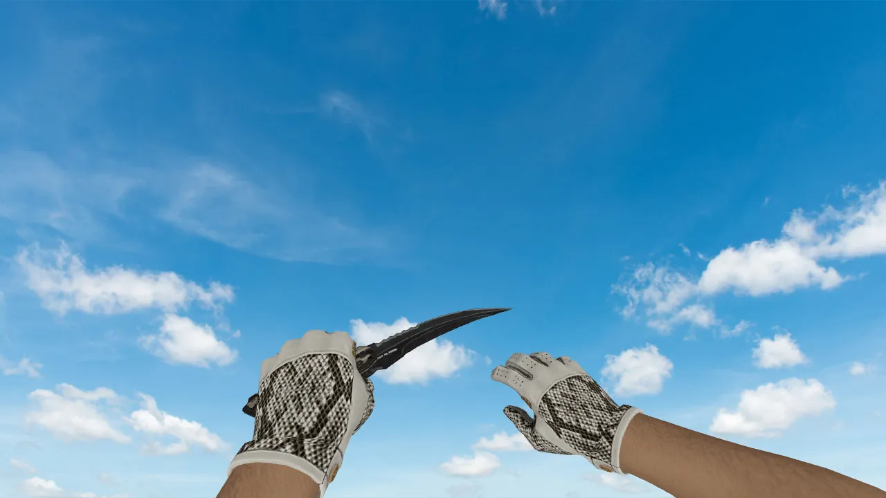 Скриншот  Driver King Snake Pack — пак моделей оружия для CS 1.6: v_ p_ w_, звуки, анимация осмотра и текстуры