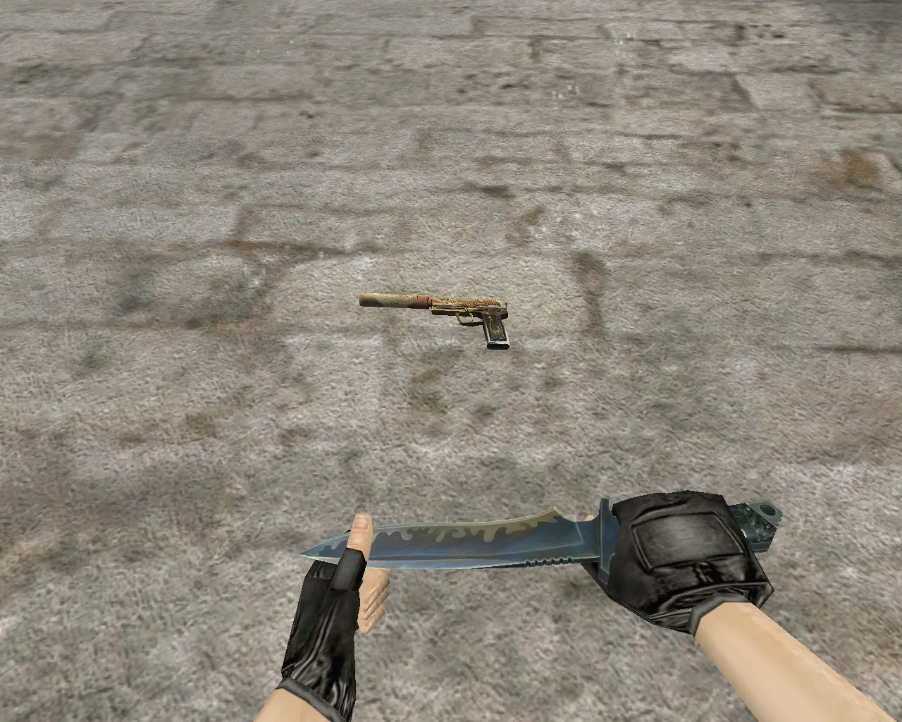 Скриншот  USP «Драгон Лор» и перчатки «Бладхаунд | Бронза» для CS 1.6