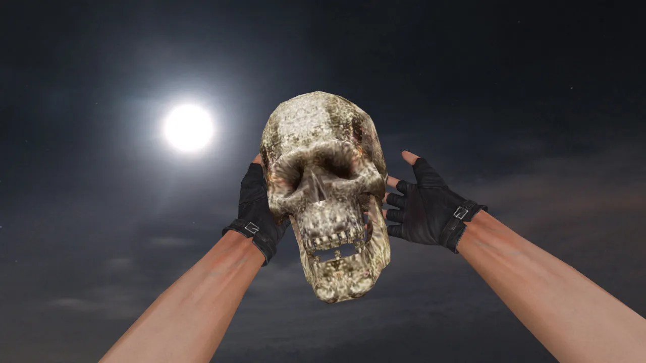 Скриншот Модель «Human Skull Grenade» для CS 1.6: v_, p_, w_ гранаты, звук и анимация осмотра