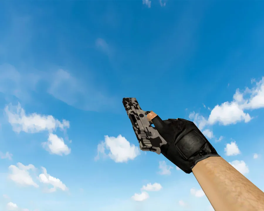 Скриншот  P250 | Чёрно-коричневый (Black & Tan) для CS 1.6: Подробности