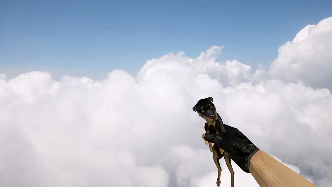 Скриншот Модель «Dog Grenade» для CS 1.6: v_, p_, w_ модели, звуки, анимация осмотра и качество текстур