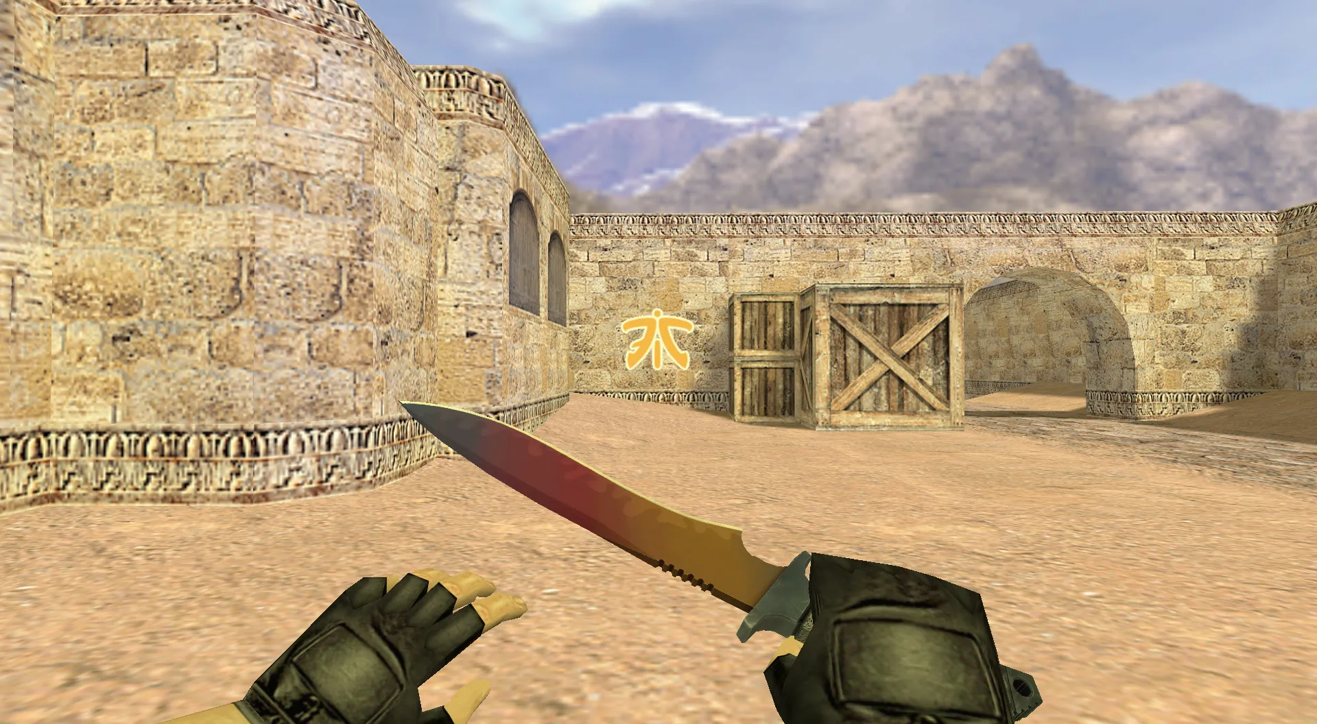 Скриншот Граффити «Fnatic Logo» для CS 1.6 - Оформите свою игру стильно