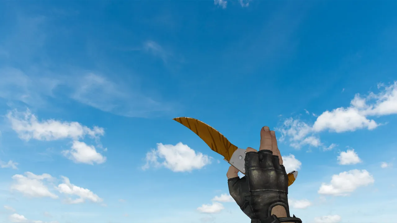 Скриншот Модель ножа v_ p_ w_ «Фальшион Зуб тигра» для CS 1.6: звуки, анимация осмотра, текстуры