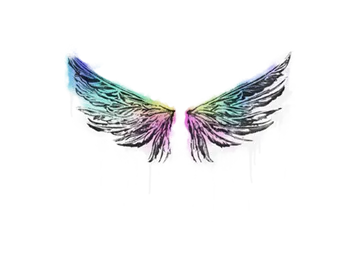 Скриншот Граффити «Крылья» для CS 1.6 - Уникальный стиль для вашей игры