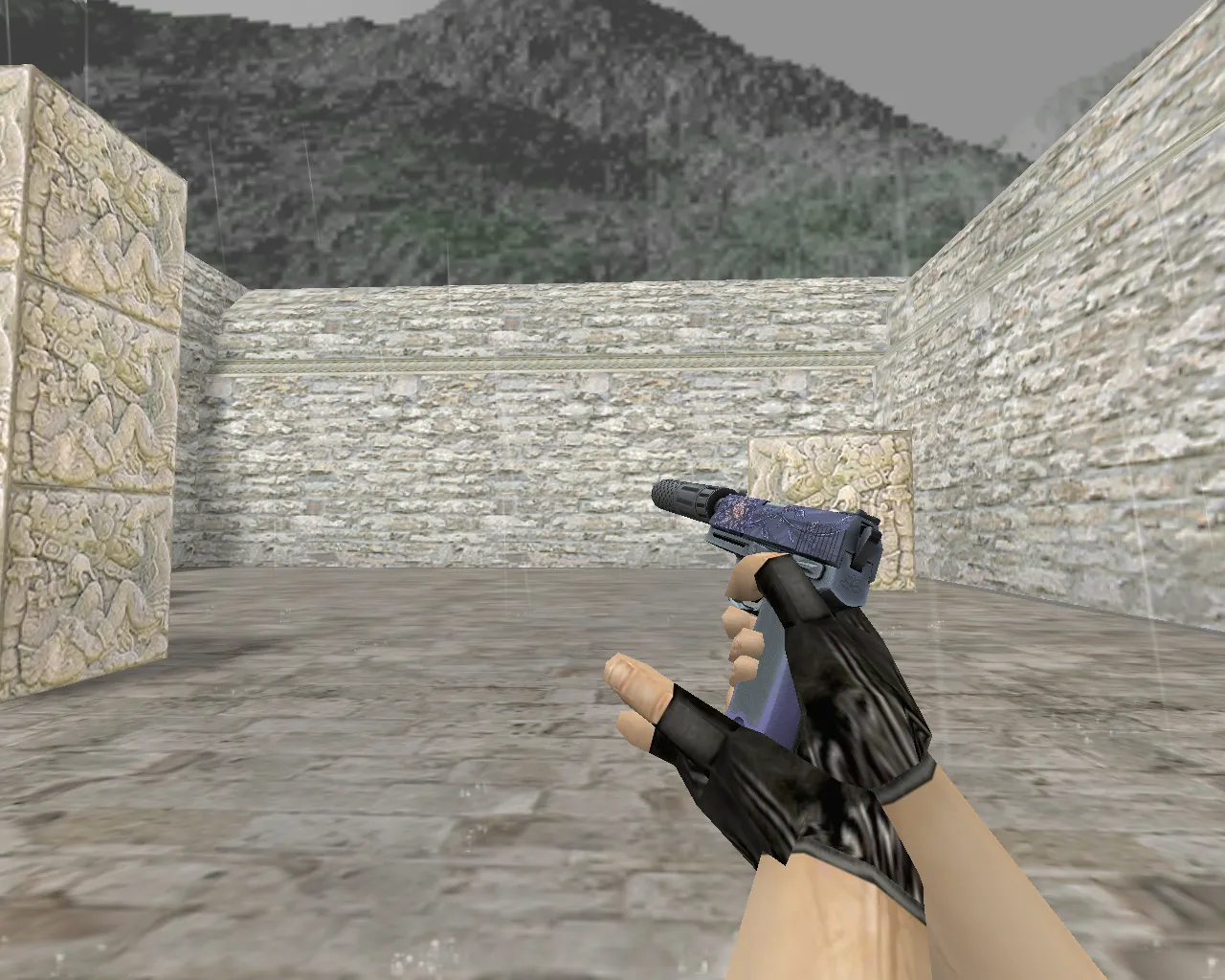 Скриншот USP-S | Чёрный лотос (Black Lotus) для CS 1.6 - Модели оружия