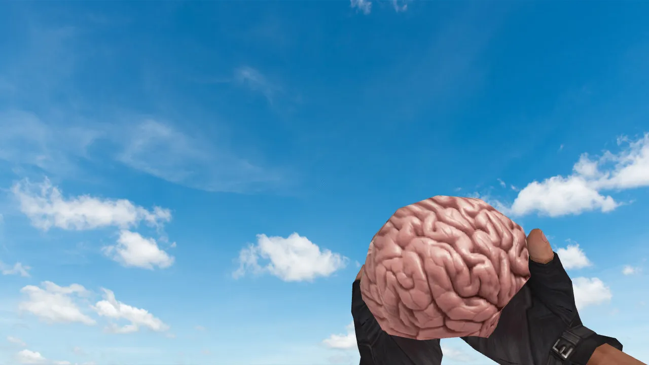 Скриншот Модель «Brain Grenade» для CS 1.6: v_, p_, w_ гранаты, звуки, анимация осмотра, качество текстур